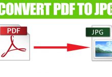 Role of PDF to JPG Converter Online these days