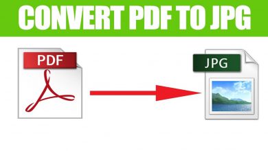 Role of PDF to JPG Converter Online these days