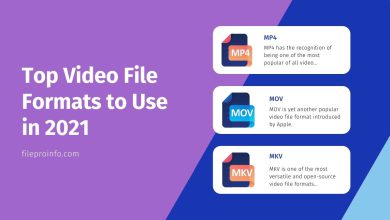 Top Video File Formats to Use in 2021