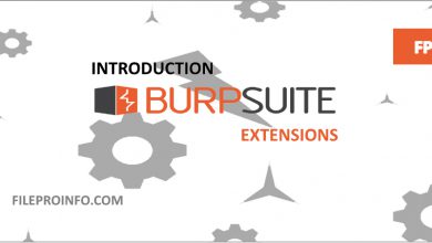 Creating Burp Suite Extensions