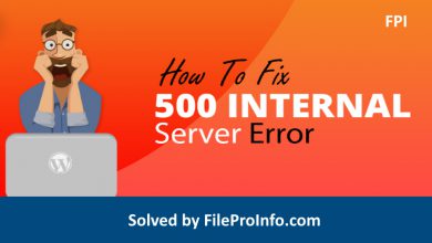 Solved WordPress Internal Server Error 500