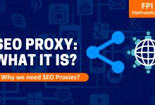 Why You Should Use SEO Proxy?