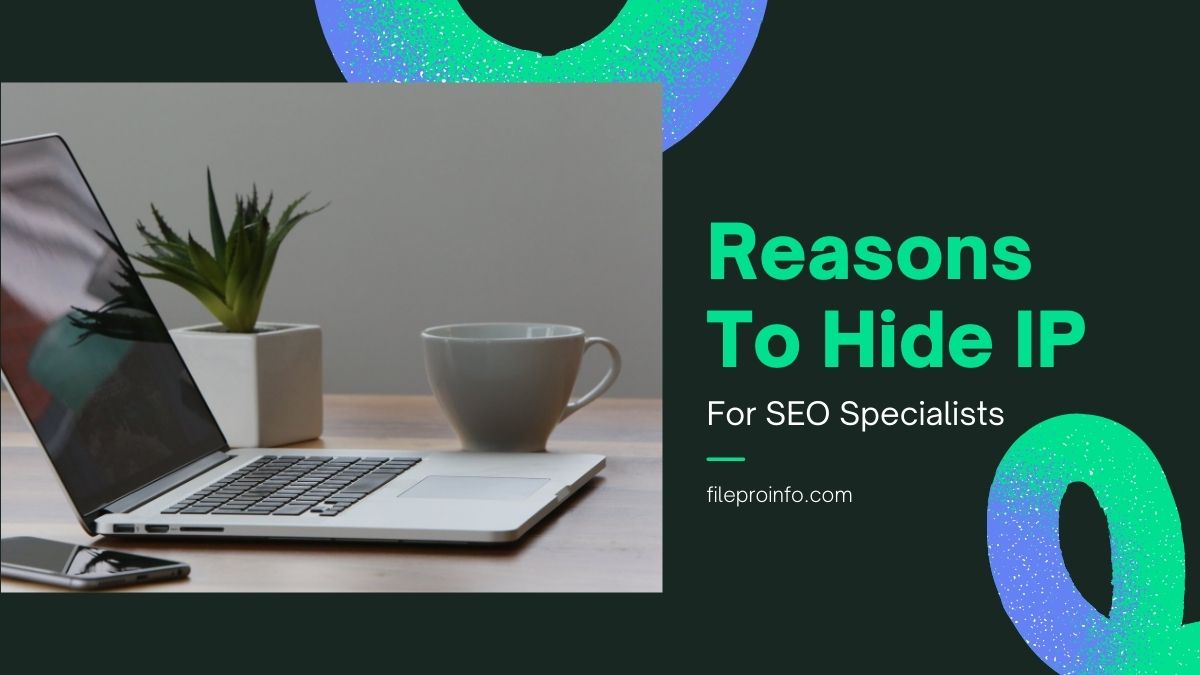 Reasons To Hide IP For SEO Specialists