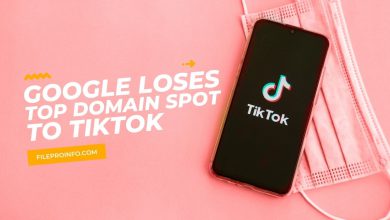 Google Loses Top Domain Spot To TikTok