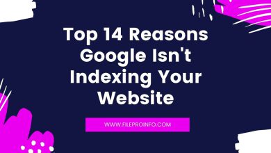 Top 14 Reasons Google Isn't Indexing Your Website