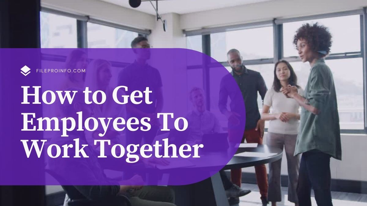 How to Get Employees To Work Together