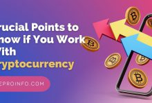 Crucial Points to Know if You Work With Cryptocurrency
