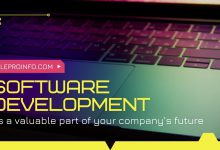 Software development as a valuable part of your company’s future