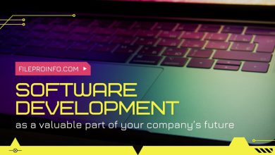 Software development as a valuable part of your company’s future