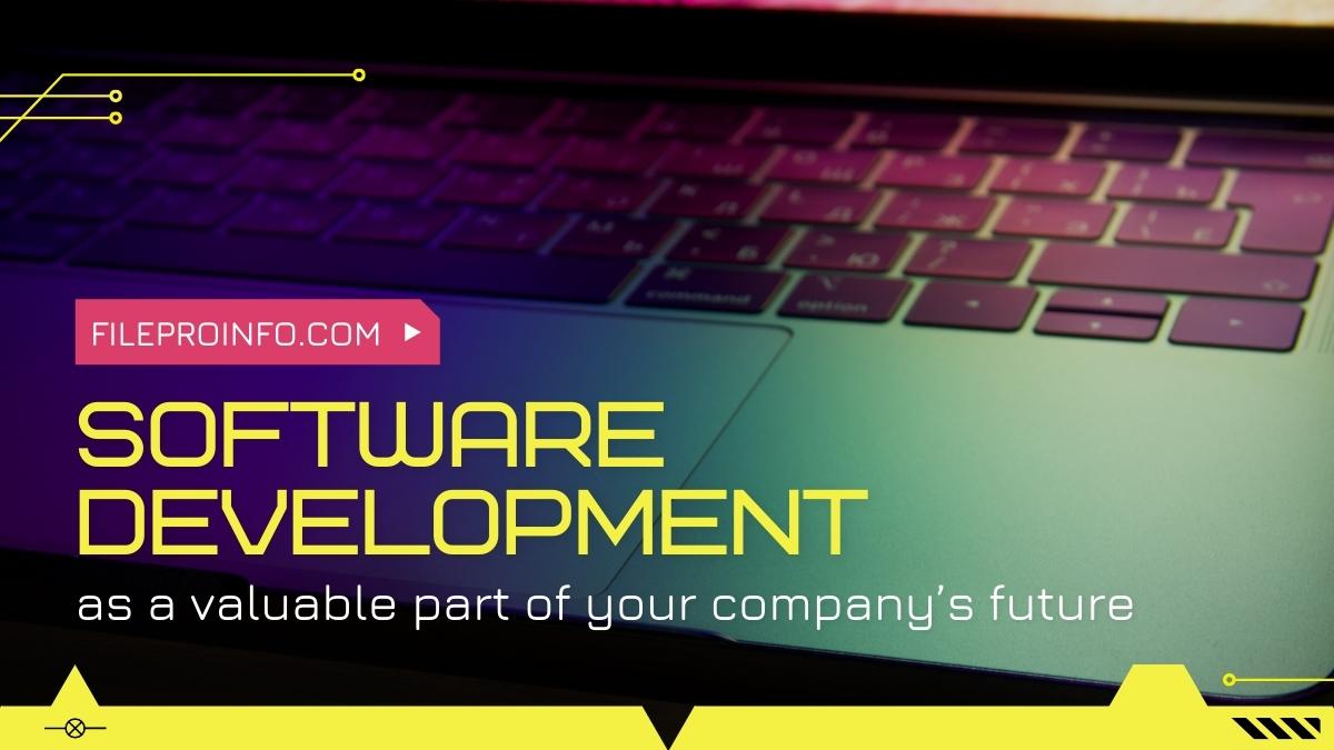 Software development as a valuable part of your company’s future