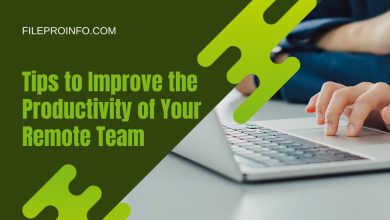 Tips to Improve the Productivity of Your Remote Team