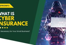 What is Cyber Insurance and Is It Necessary for Your Small Business?