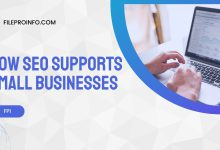 How SEO Supports Small Businesses