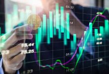 Roisea Crypto Exchange: Review from Experts