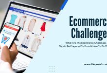 What Are The Ecommerce Challenges You Should Be Prepared To Face & How To Fix Them