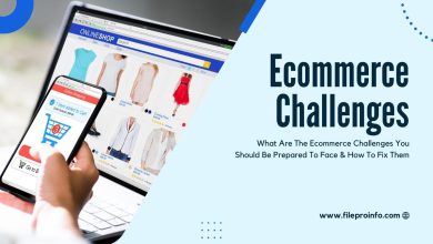 What Are The Ecommerce Challenges You Should Be Prepared To Face & How To Fix Them