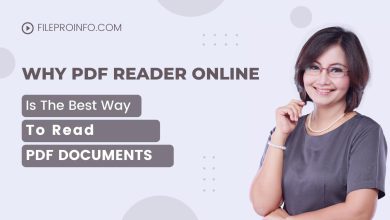 Why PDF Reader Online Is The Best Way To Read PDF Documents