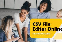 CSV File Editor Online