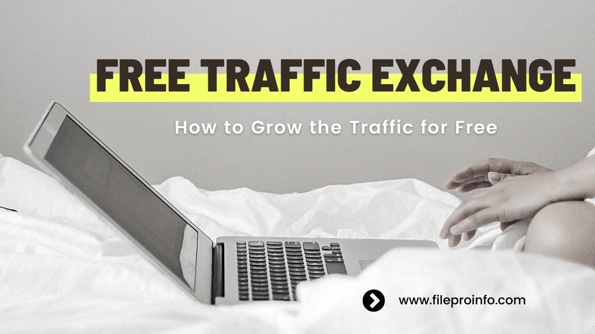Free Traffic Exchange: How to Grow the Traffic for Free
