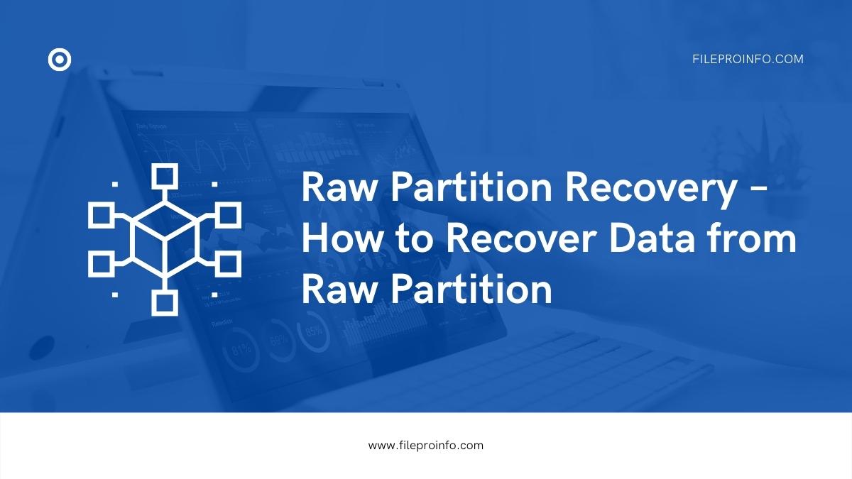 Raw Partition Recovery – How to Recover Data from Raw Partition