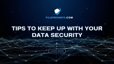 Tips to Keep up with Your Data Security