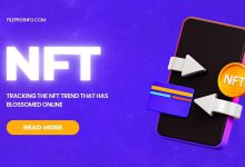 Tracking the NFT Trend That Has Blossomed Online