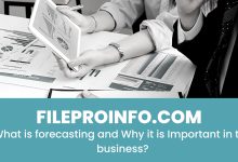 What is forecasting and Why it is Important in the business?