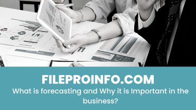 What is forecasting and Why it is Important in the business?