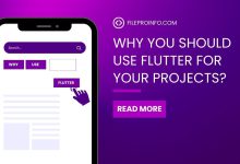 Why You Should Use Flutter for Your Projects?