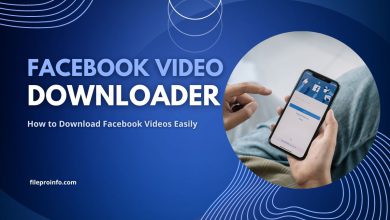 Facebook Video Downloader: How to Download Facebook Videos Easily