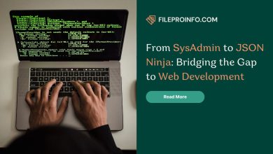 From SysAdmin to JSON Ninja: Bridging the Gap to Web Development