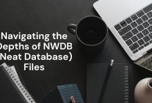 Navigating the Depths of NWDB (Neat Database) Files