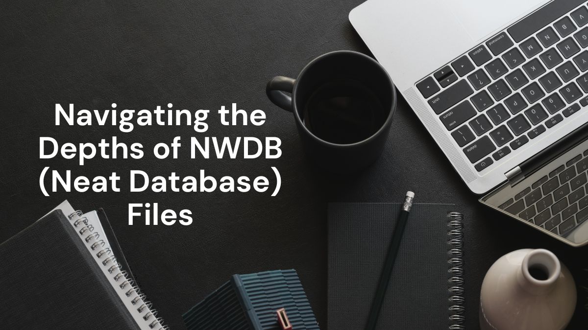 Navigating the Depths of NWDB (Neat Database) Files