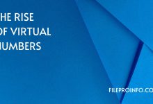 The Rise of Virtual Numbers