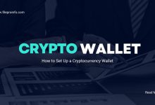 How to Set Up a Cryptocurrency Wallet