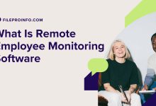 What Is Remote Employee Monitoring Software