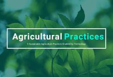 5 Sustainable Agriculture Practices Enabled by Technology