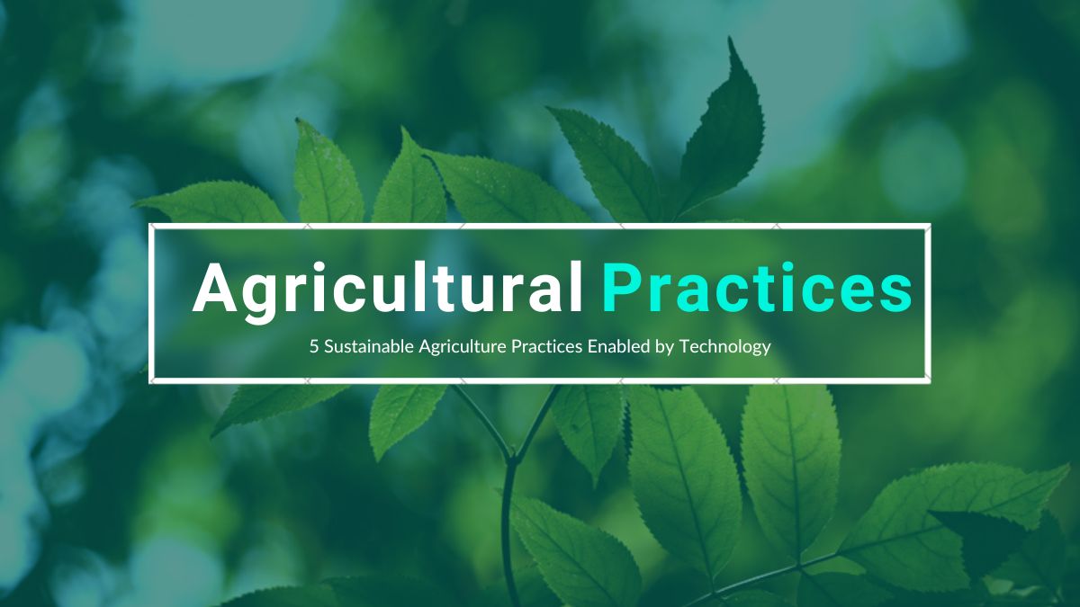 5 Sustainable Agriculture Practices Enabled by Technology