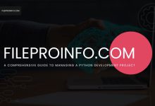 A Comprehensive Guide to Managing a Python Development Project