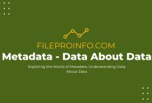 Metadata: Understanding Data About Data