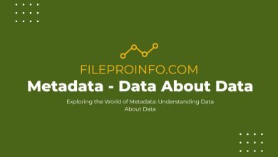 Metadata: Understanding Data About Data