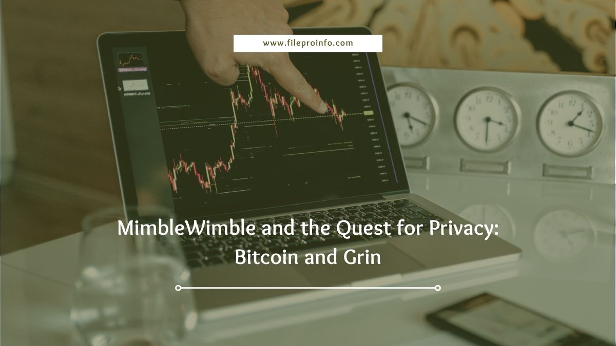 MimbleWimble and the Quest for Privacy: Bitcoin and Grin