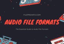 The Essential Guide to Audio File Formats