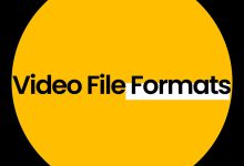 Top 5 Best Video File Formats to Use in 2024