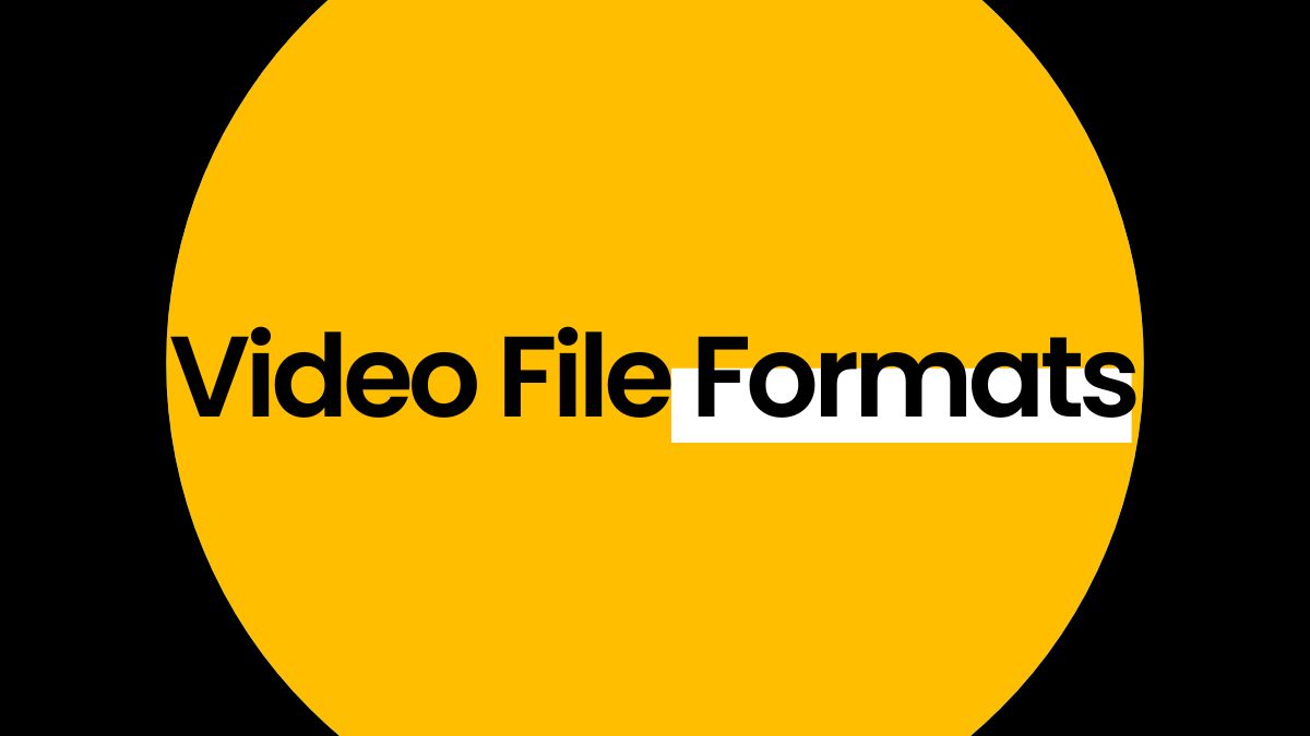 Top 5 Best Video File Formats to Use in 2024