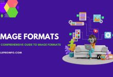 A Comprehensive Guide to Image Formats
