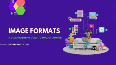 A Comprehensive Guide to Image Formats