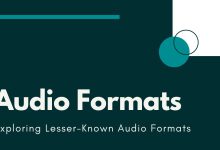Exploring Lesser-Known Audio Formats