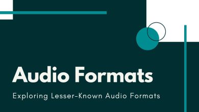 Exploring Lesser-Known Audio Formats