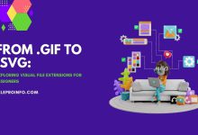 From .GIF to .SVG: Exploring Visual File Extensions for Designers